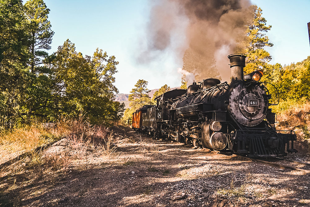 La Plata County The Hamilton Brother's Team